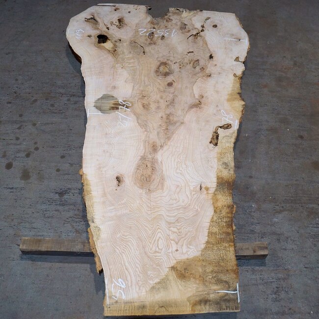 Ash Burl table top, approx. 2000 x 780/560/1190 x 52 mm, 13522