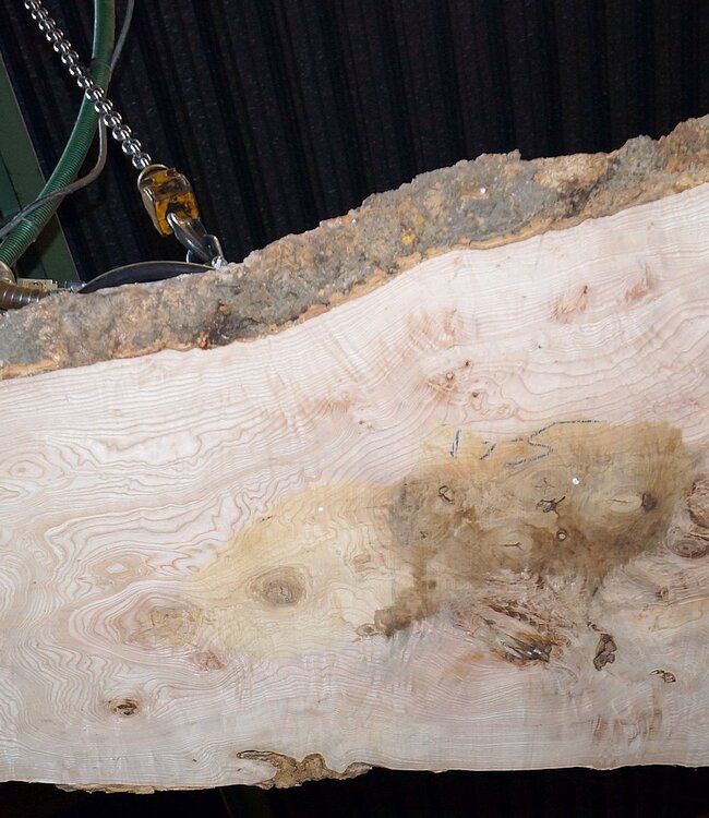 Esche Maser Tischplatte, ca. 2000 x 780/560/1190 x 52 mm, 13522