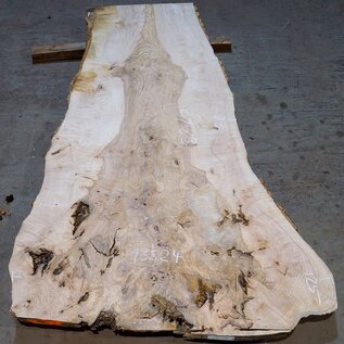 Ash Burl table top, approx. 2000 x 830/650/12500 x 52 mm, 13524