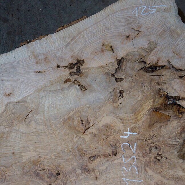Esche Maser Tischplatte, ca. 2000 x 830/650/12500 x 52 mm, 13524