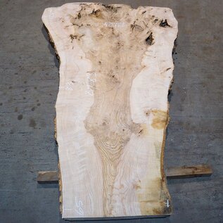 Ash Burl table top, approx. 2000 x 830/650/12500 x 52 mm, 13524