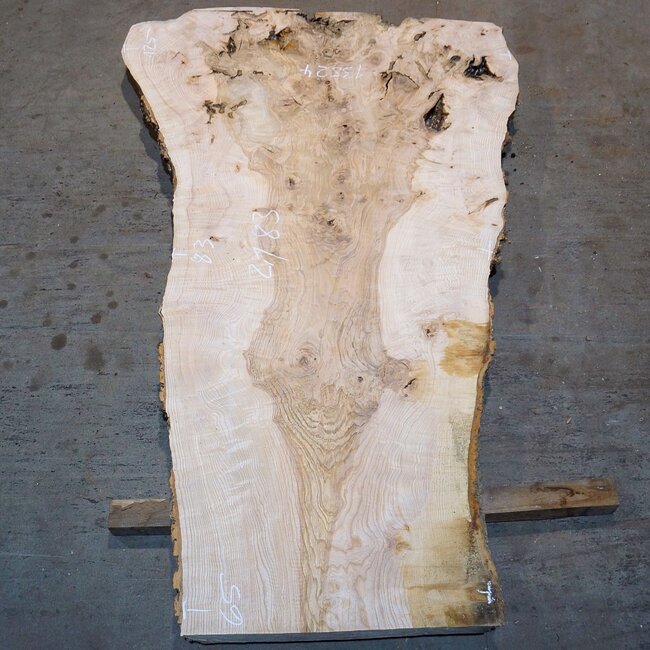 Ash Burl table top, approx. 2000 x 830/650/1250 x 52 mm, 13524