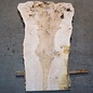 Ash Burl table top, approx. 2000 x 830/650/12500 x 52 mm, 13524