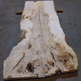 Ash Burl table top, approx. 2000 x 830/710/1250 x 52 mm, 13525