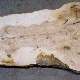 Ash Burl table top, approx. 2000 x 830/710/1250 x 52 mm, 13525