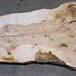 Ash Burl table top, approx. 2000 x 830/710/1250 x 52 mm, 13525