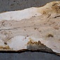 Ash Burl table top, approx. 2000 x 830/710/1250 x 52 mm, 13525