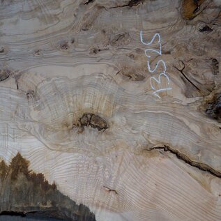 Ash Burl table top, approx. 2000 x 830/710/1250 x 52 mm, 13525