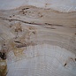 Ash Burl table top, approx. 2000 x 830/710/1250 x 52 mm, 13525