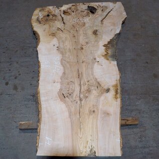 Ash Burl table top, approx. 2000 x 830/710/1250 x 52 mm, 13525