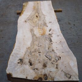 Ash Burl table top, approx. 2000 x 890/740/1190 x 52 mm, 13526