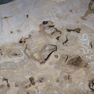 Ash Burl table top, approx. 2000 x 890/740/1190 x 52 mm, 13526