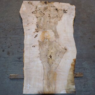 Ash Burl table top, approx. 2000 x 890/740/1190 x 52 mm, 13526