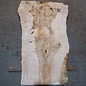 Ash Burl table top, approx. 2000 x 890/740/1190 x 52 mm, 13526