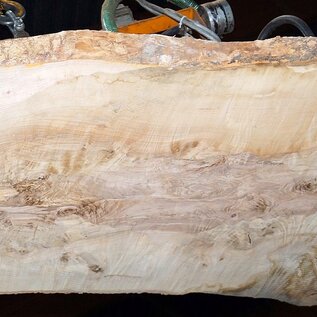 Ash Burl table top, approx. 2000 x 890/740/1190 x 52 mm, 13526