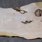 Ash Burl table top, approx. 2000 x 460/460/710 x 52 mm, 13528