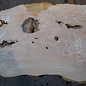 Ash Burl table top, approx. 2000 x 460/460/710 x 52 mm, 13528