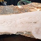 Ash Burl table top, approx. 2000 x 460/460/710 x 52 mm, 13528