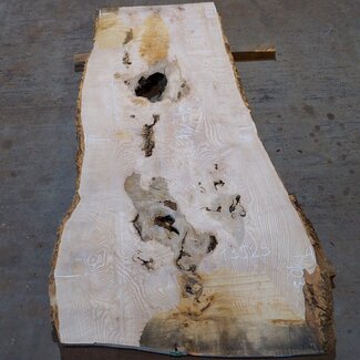 Esche Maser Tischplatte, ca. 2000 x 840/690/1030 x 52 mm, 13529