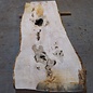 Ash Burl table top, approx. 2000 x 840/690/1030 x 52 mm, 13529