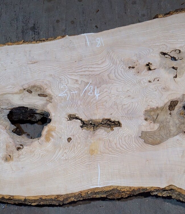 Esche Maser Tischplatte, ca. 2000 x 840/690/1030 x 52 mm, 13529