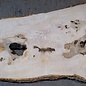 Ash Burl table top, approx. 2000 x 840/690/1030 x 52 mm, 13529