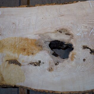 Ash Burl table top, approx. 2000 x 840/690/1030 x 52 mm, 13529