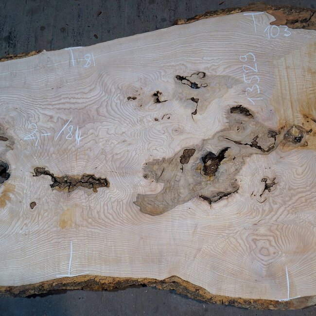 Esche Maser Tischplatte, ca. 2000 x 840/690/1030 x 52 mm, 13529