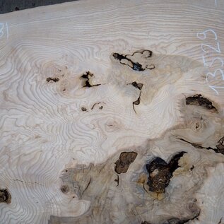 Ash Burl table top, approx. 2000 x 840/690/1030 x 52 mm, 13529