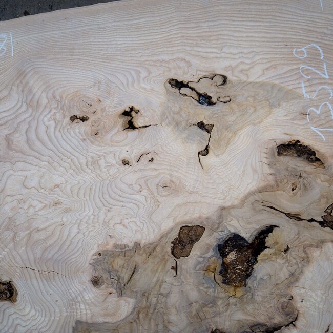 Esche Maser Tischplatte, ca. 2000 x 840/690/1030 x 52 mm, 13529