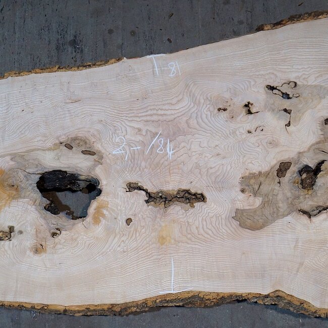 Esche Maser Tischplatte, ca. 2000 x 840/690/1030 x 52 mm, 13529