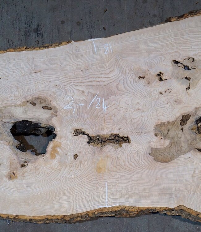 Esche Maser Tischplatte, ca. 2000 x 840/690/1030 x 52 mm, 13529