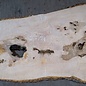 Ash Burl table top, approx. 2000 x 840/690/1030 x 52 mm, 13529