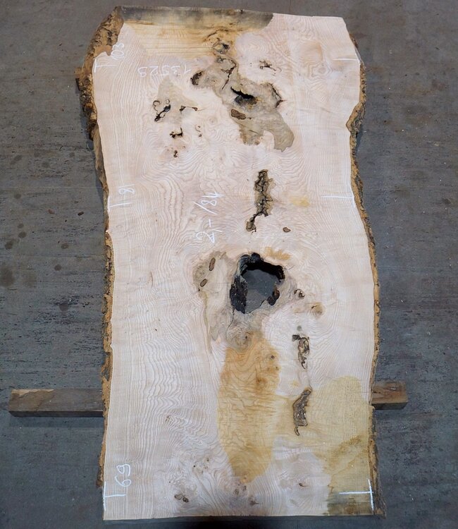 Esche Maser Tischplatte, ca. 2000 x 840/690/1030 x 52 mm, 13529