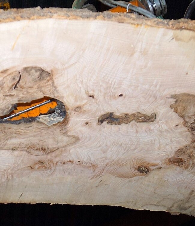 Esche Maser Tischplatte, ca. 2000 x 840/690/1030 x 52 mm, 13529