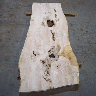 Ash Burl table top, approx. 2000 x 790/690/920 x 52 mm, 13530