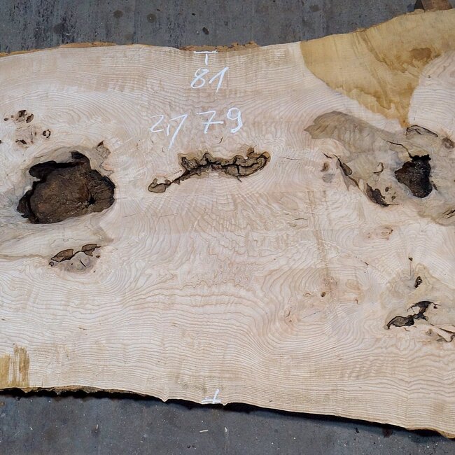 Ash Burl table top, approx. 2000 x 790/690/920 x 52 mm, 13530