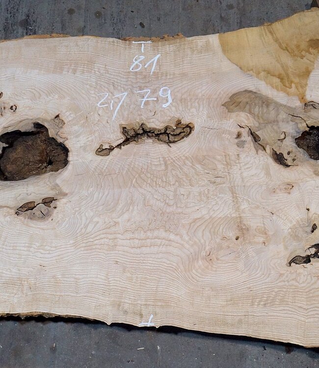 Ash Burl table top, approx. 2000 x 790/690/920 x 52 mm, 13530