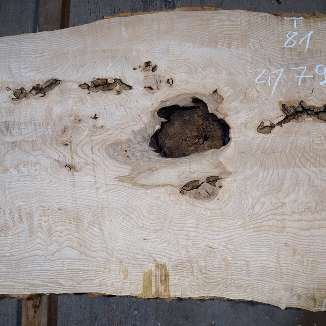 Ash Burl table top, approx. 2000 x 790/690/920 x 52 mm, 13530