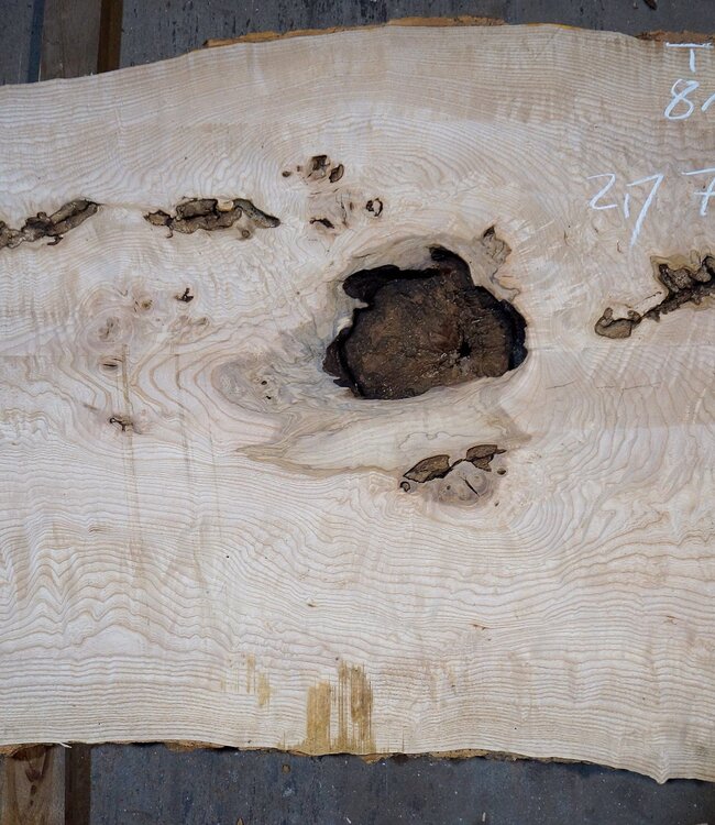 Ash Burl table top, approx. 2000 x 790/690/920 x 52 mm, 13530