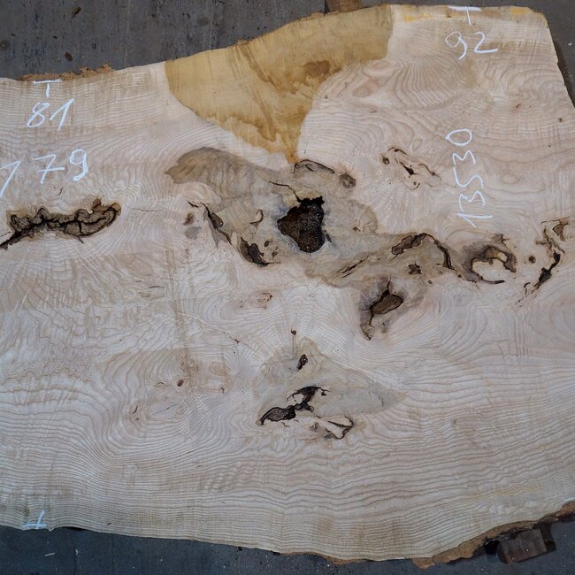 Ash Burl table top, approx. 2000 x 790/690/920 x 52 mm, 13530