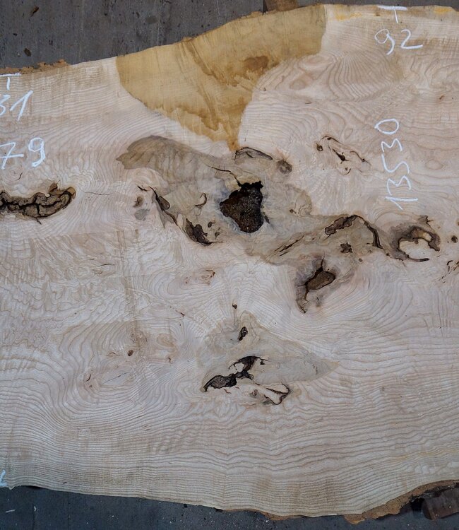 Ash Burl table top, approx. 2000 x 790/690/920 x 52 mm, 13530