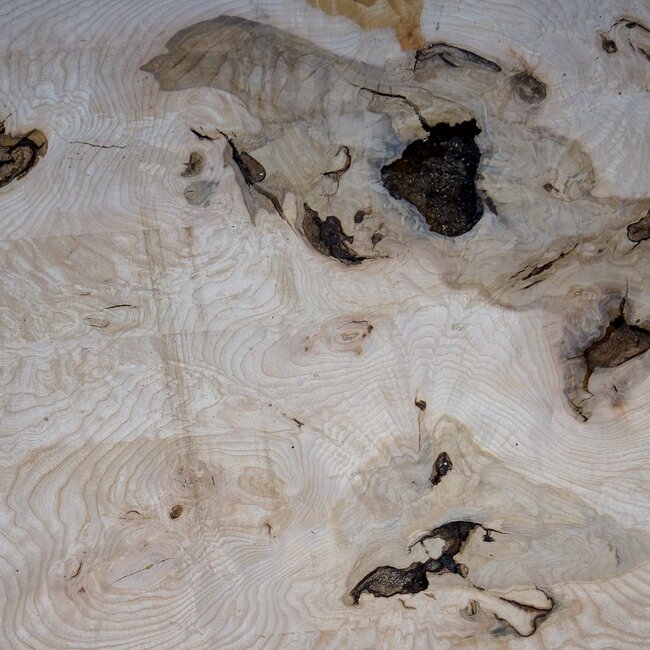 Ash Burl table top, approx. 2000 x 790/690/920 x 52 mm, 13530