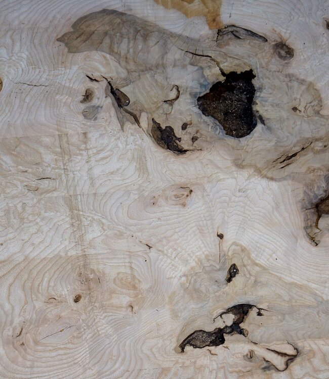 Ash Burl table top, approx. 2000 x 790/690/920 x 52 mm, 13530