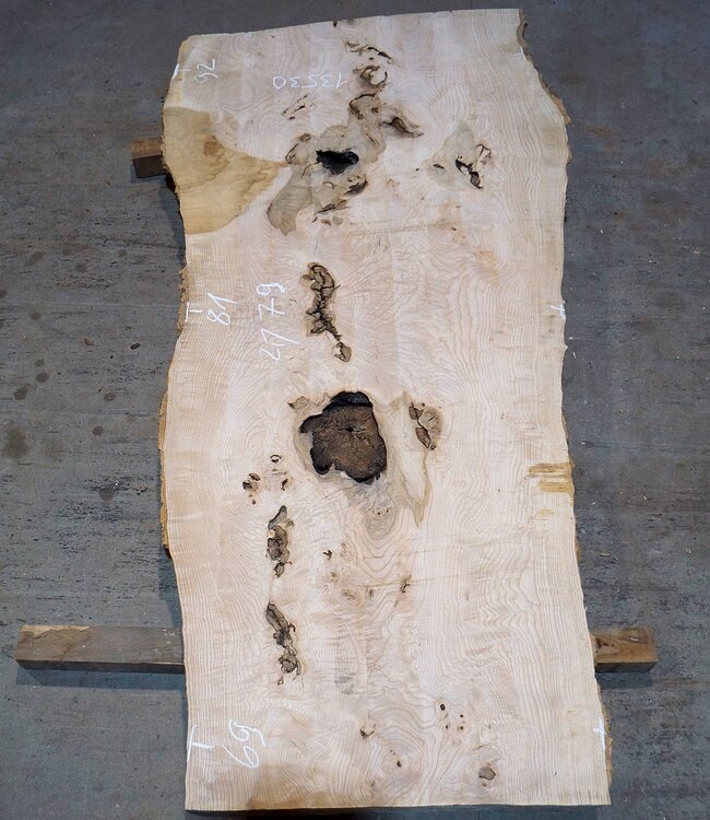Ash Burl table top, approx. 2000 x 790/690/920 x 52 mm, 13530