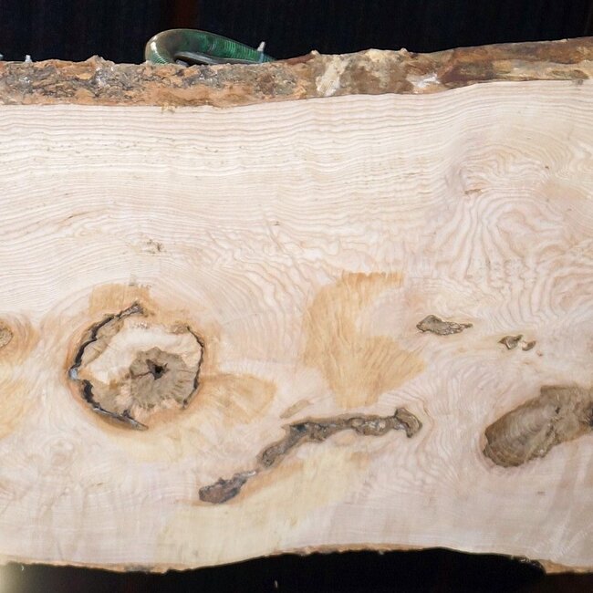 Ash Burl table top, approx. 2000 x 790/690/920 x 52 mm, 13530