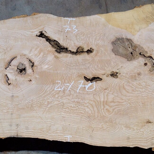 Ash Burl table top, approx. 2000 x 700/590/860 x 52 mm, 13531
