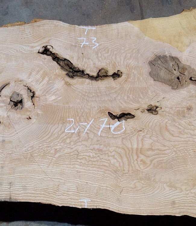 Esche Maser Tischplatte, ca. 2000 x 700/590/860 x 52 mm, 13531