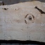 Ash Burl table top, approx. 2000 x 700/590/860 x 52 mm, 13531