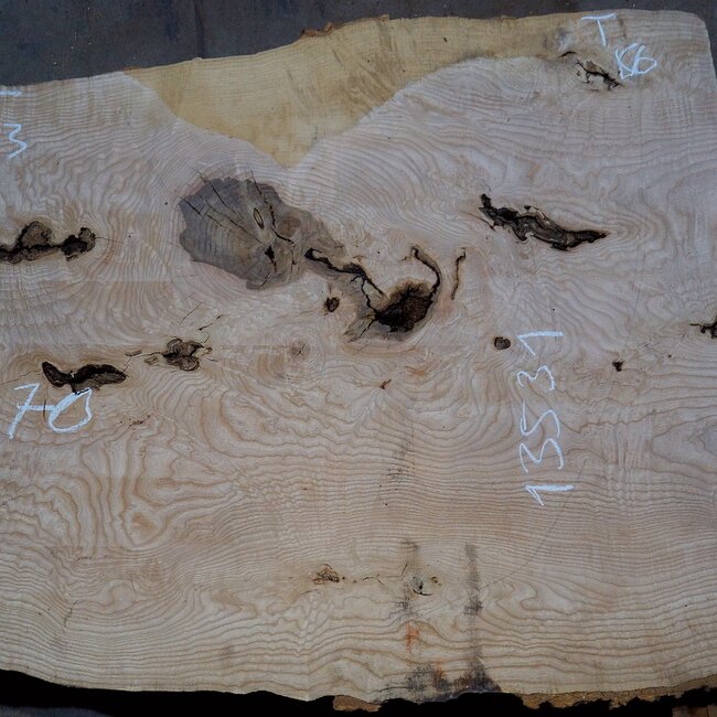Ash Burl table top, approx. 2000 x 700/590/860 x 52 mm, 13531
